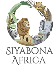 http://sandton.hotelguide.co.za