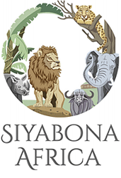 http://sandton.hotelguide.co.za
