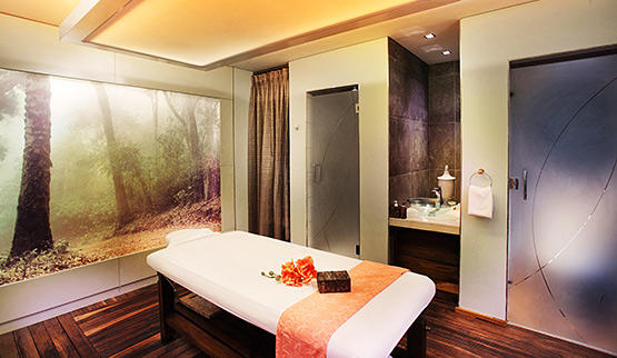Sandton Hotels with spa facilities.